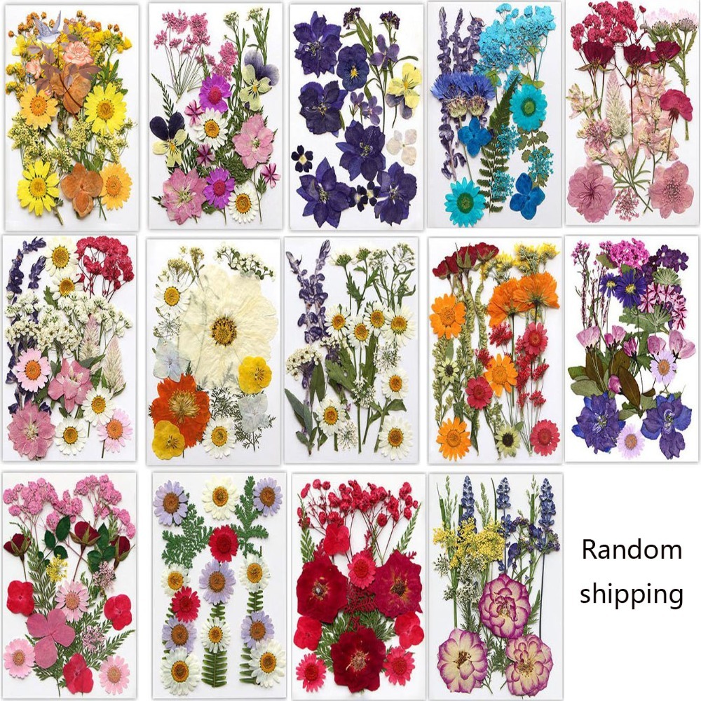 Handmade Pressed Dried Flowers - Dried Flower Bookmark ulasan dan harga